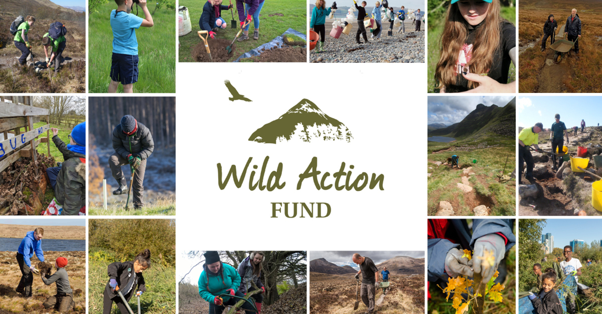 Wild Action Fund - promo