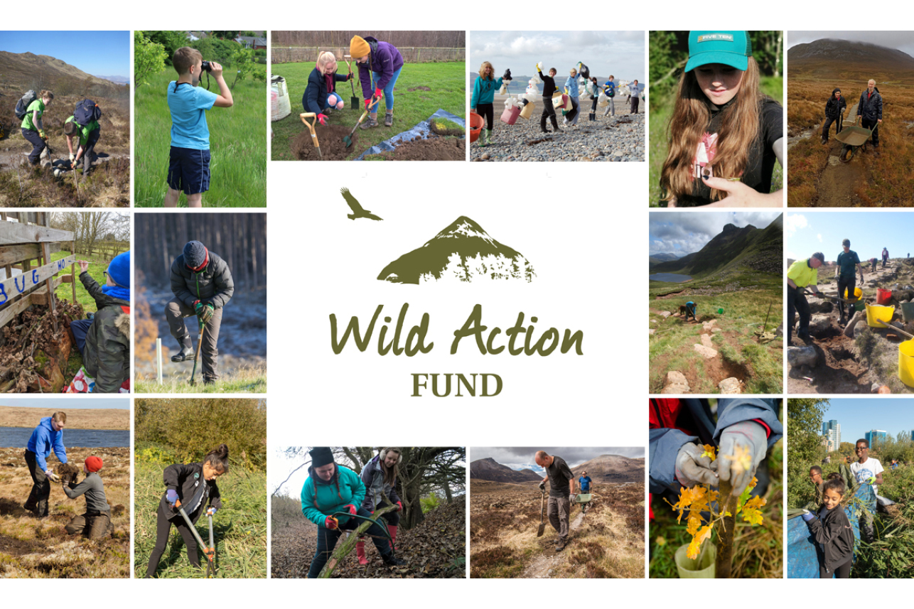 Wild Action Fund - promo