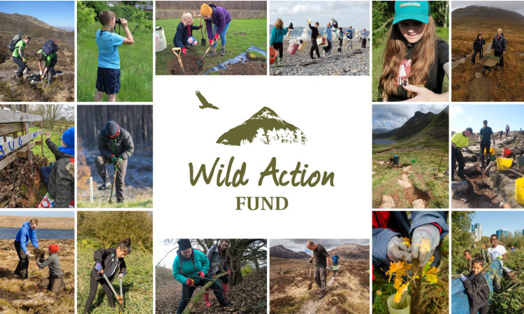Wild Action Fund - promo