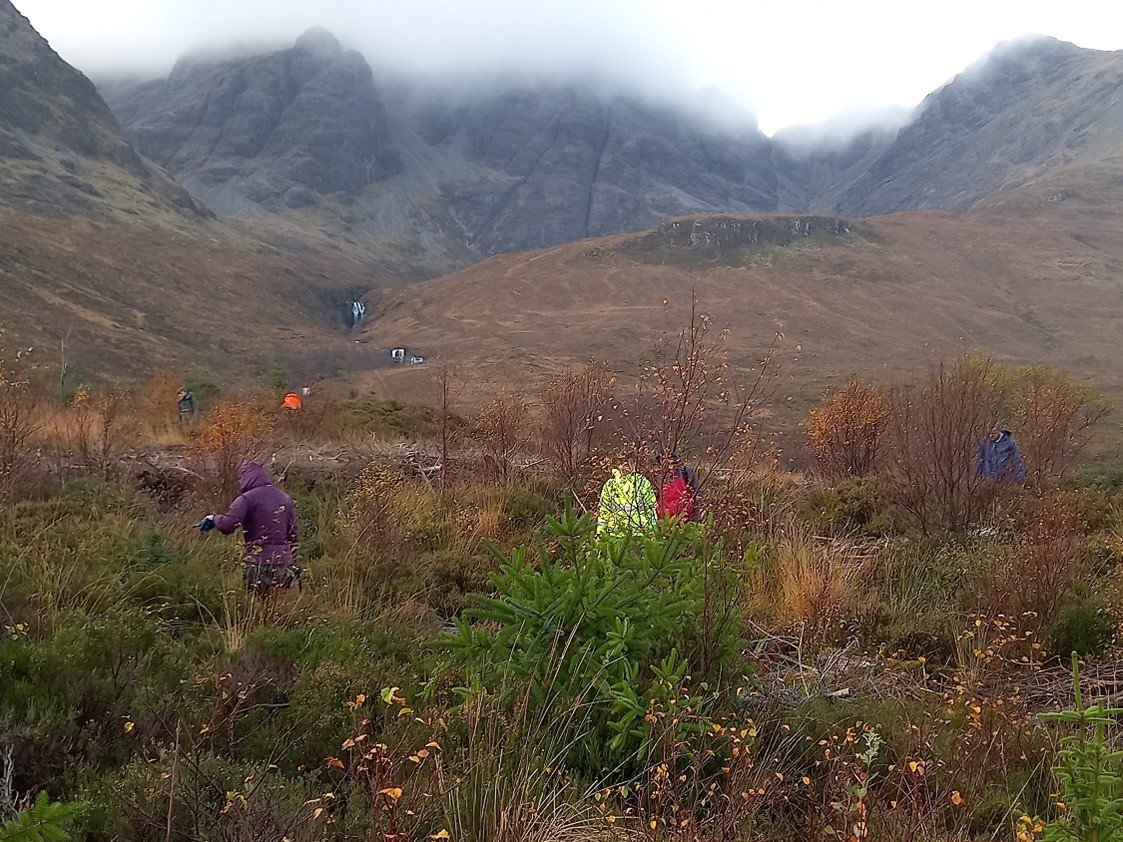 Keppoch tree planting on Skye 3