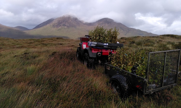 Keppoch tree planting on Skye 5