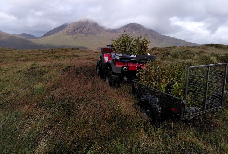 Keppoch tree planting on Skye 5