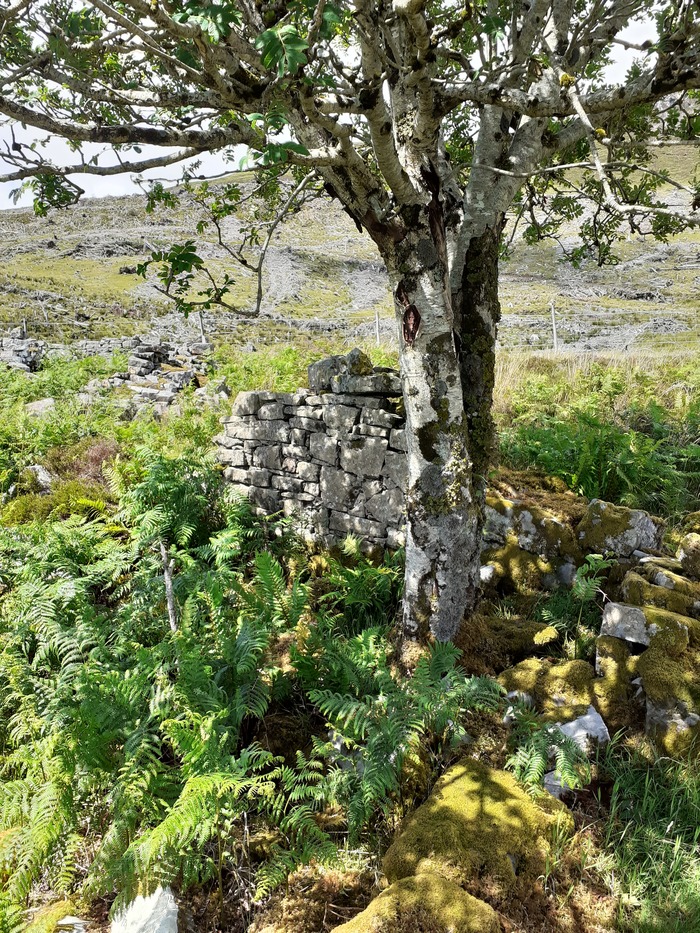 Keppoch clearance village remains Skye