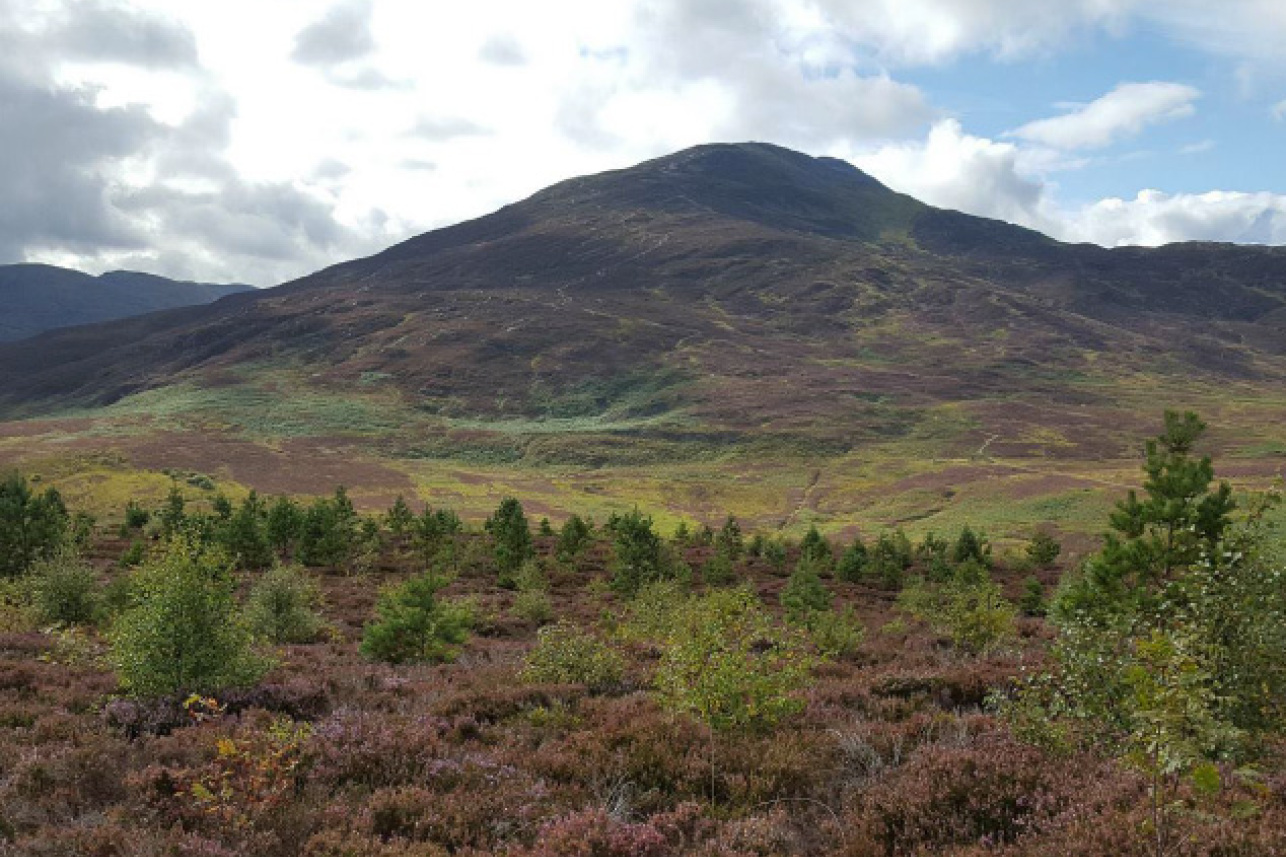 East Schiehallion Mountain Woodland Consultation cover