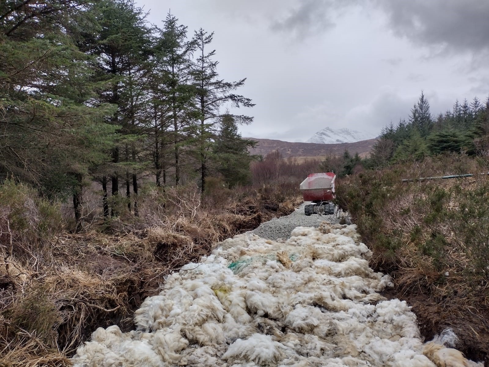 Kilmarie path repairs with sheep wool 2