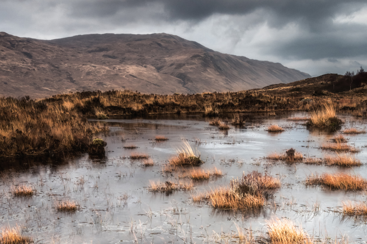 Sligachan Lochan - Sandy Weir