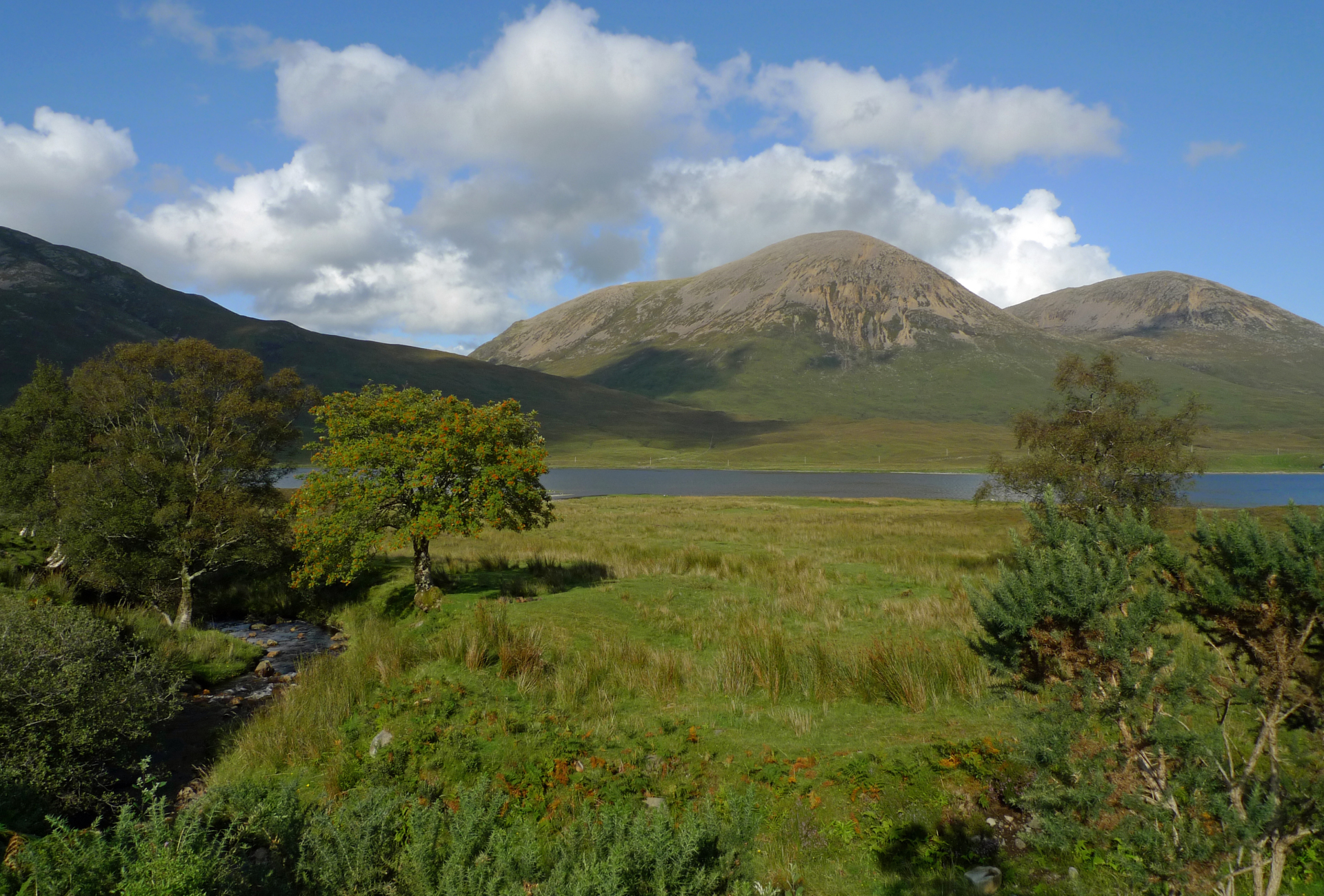 Skye - Strathaird scenery with trees - Daisy Clark