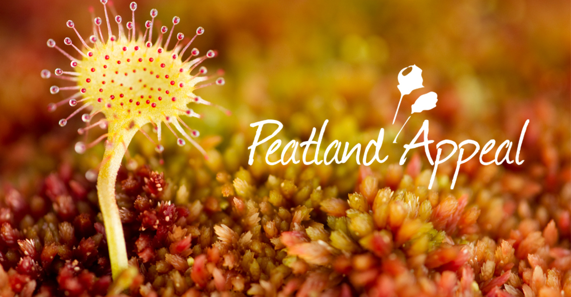 Peatland appeal banner