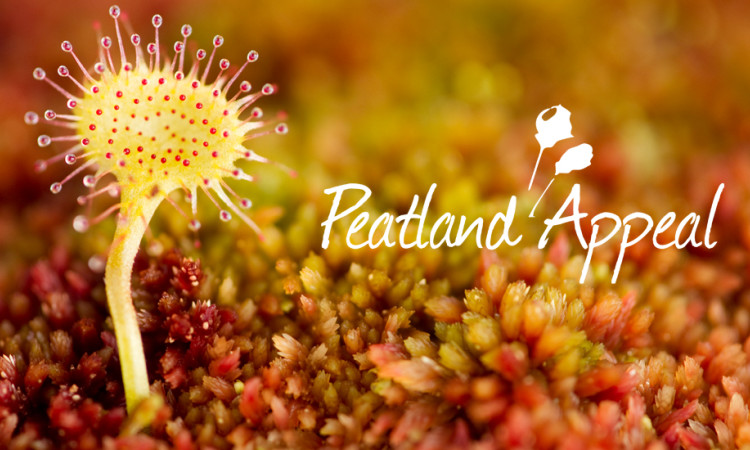 Peatland appeal banner