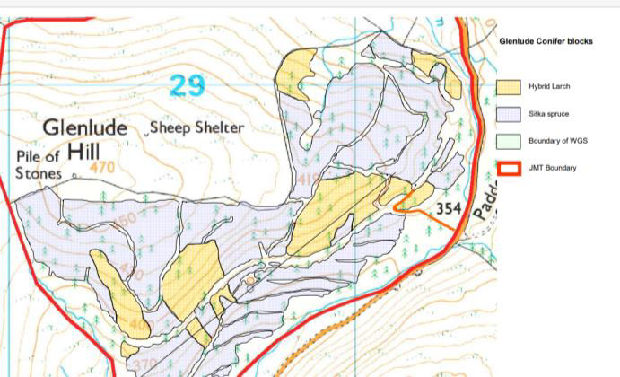 Glenlude larch areas in yellow diagram