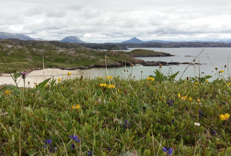 Polin machair - Carrie Weager