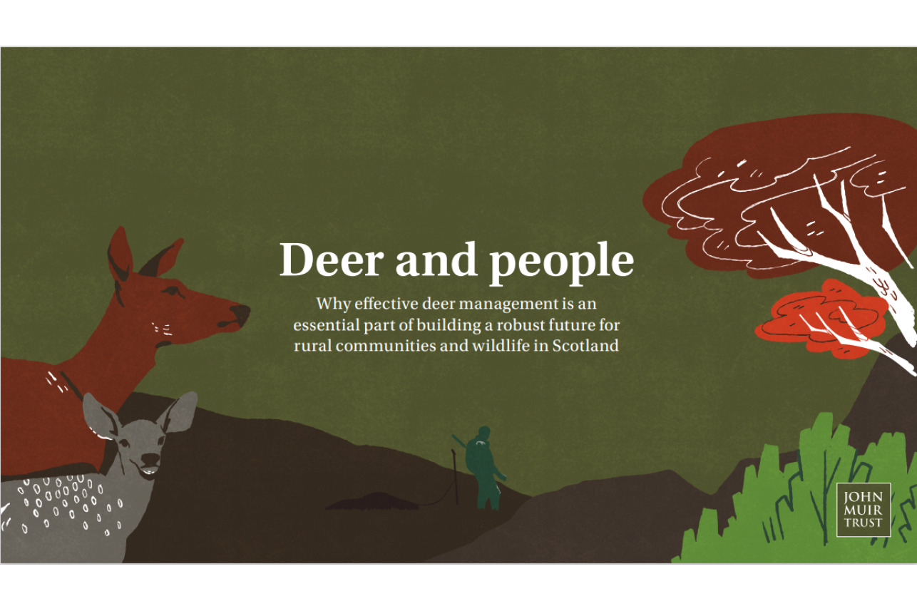 Deer and People cover