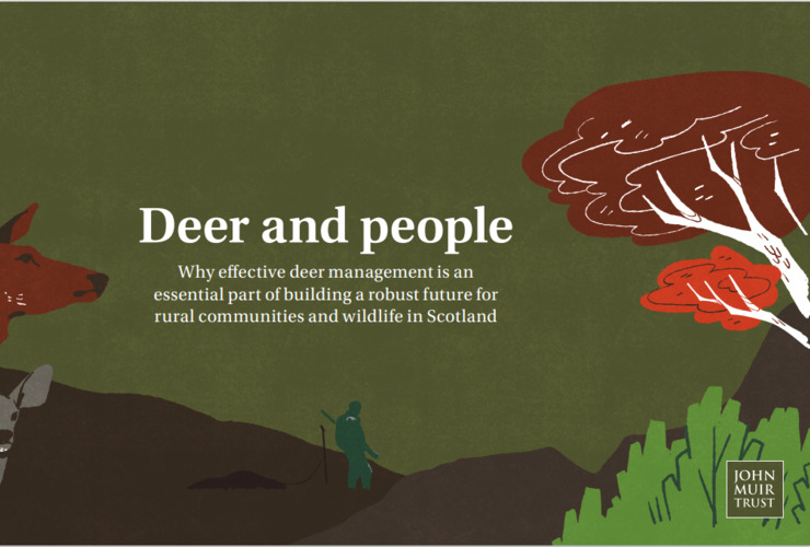 Deer and People cover