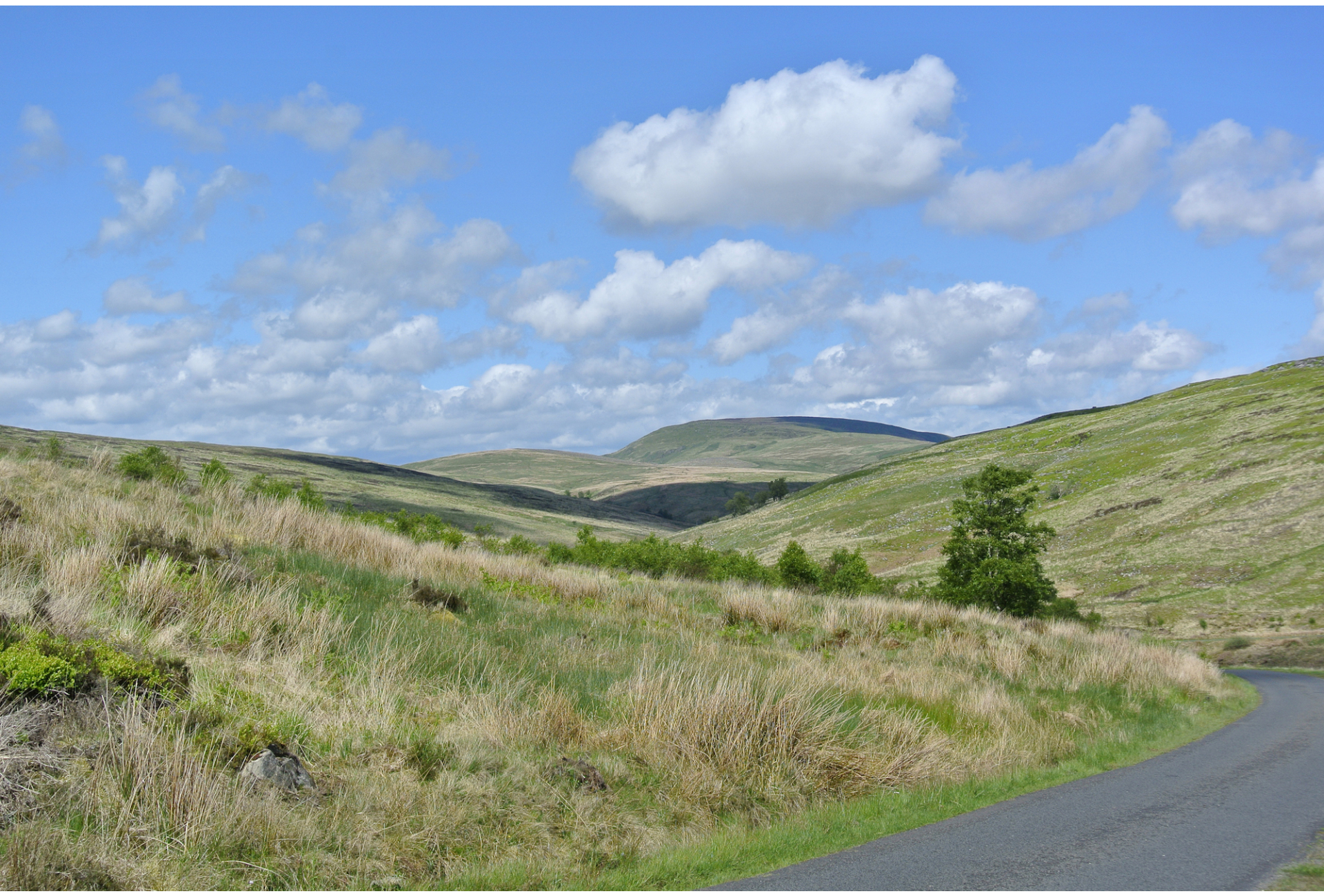 Tarras Valley