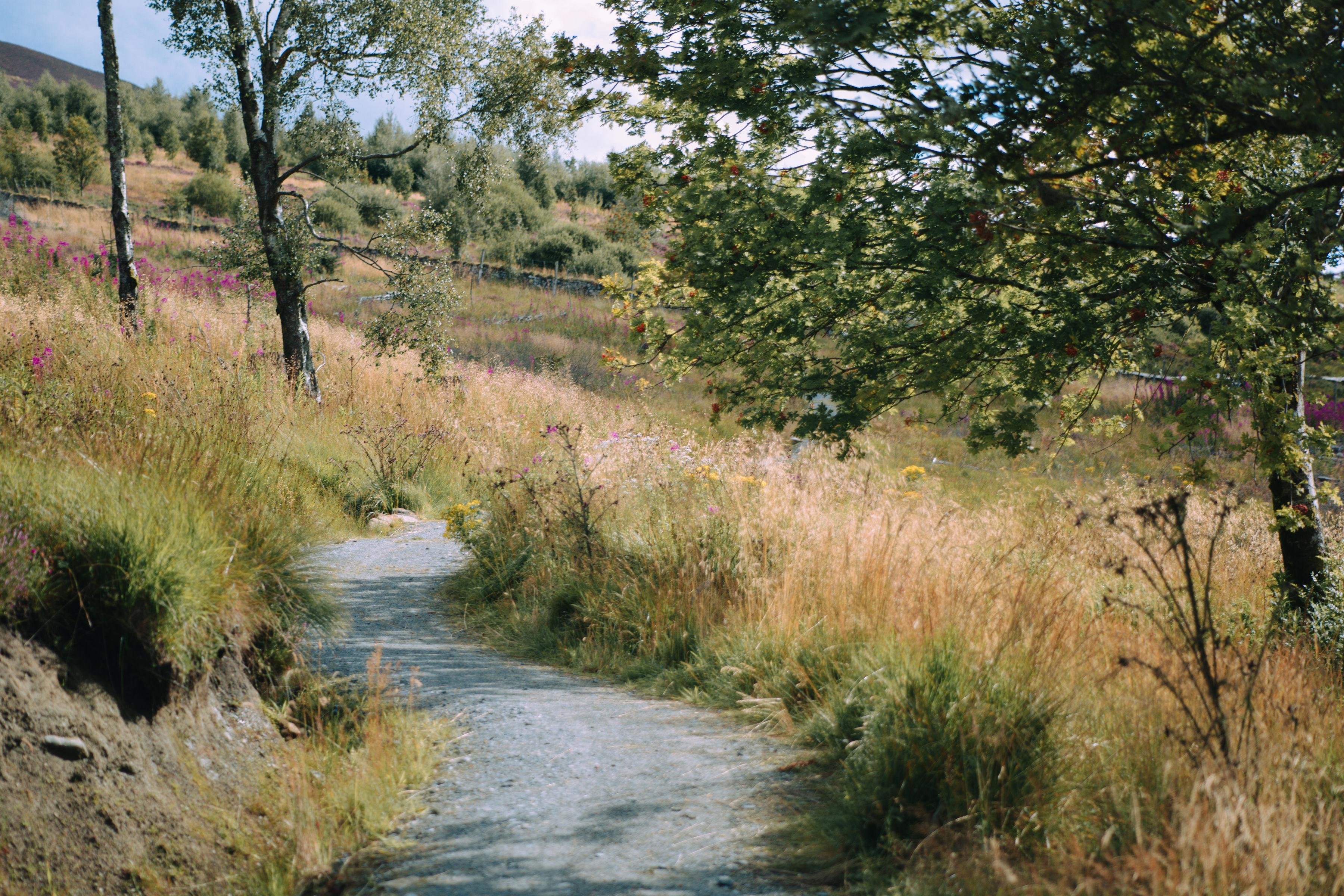 FossLoop 0209