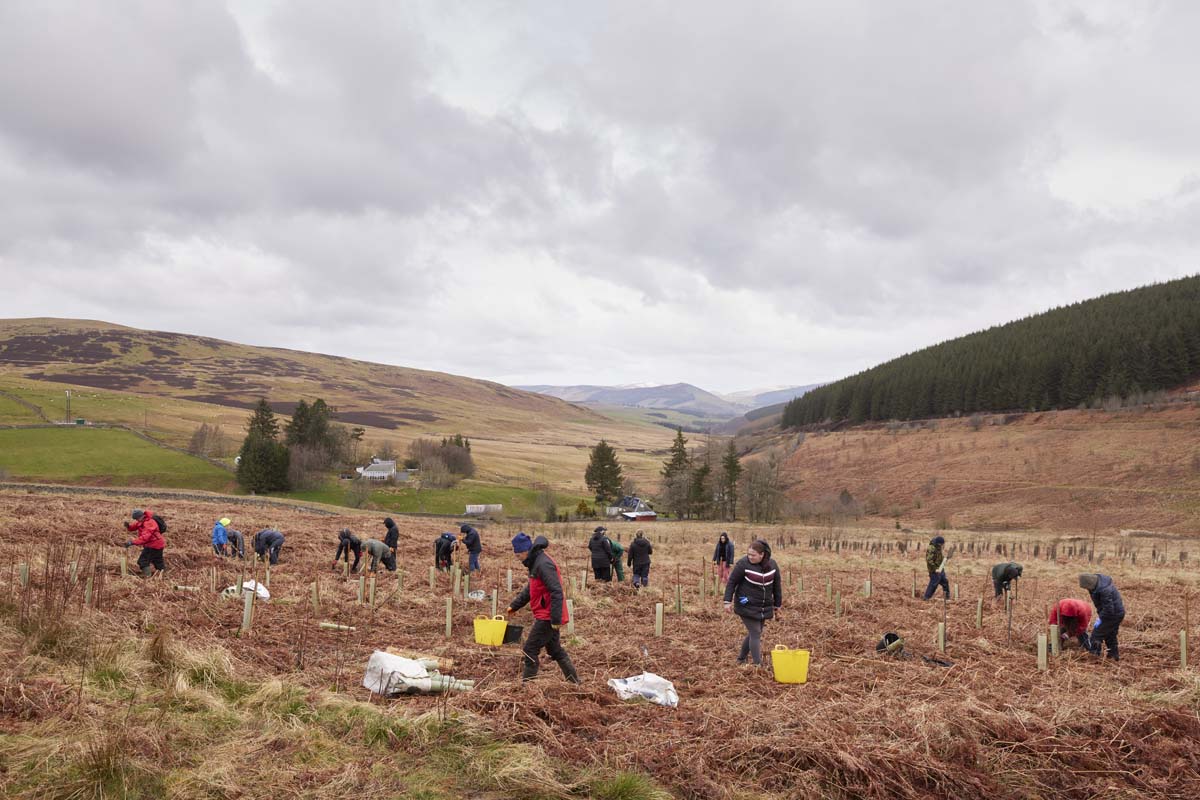 Glenlude - April 2022 RtN planting at Glenlude