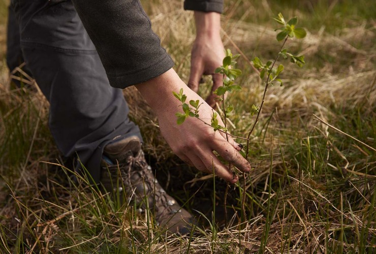 Planting Tree at Glenridding - Ben Statham