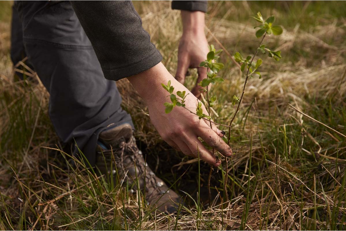 Planting Tree at Glenridding - Ben Statham