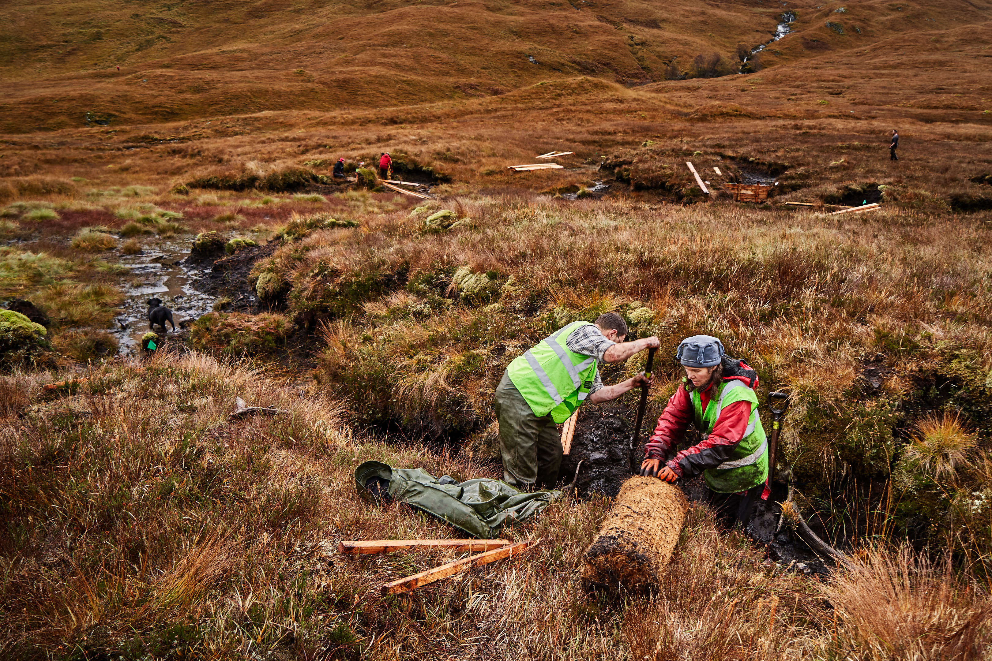 Restoring peatland at Glen Nevis