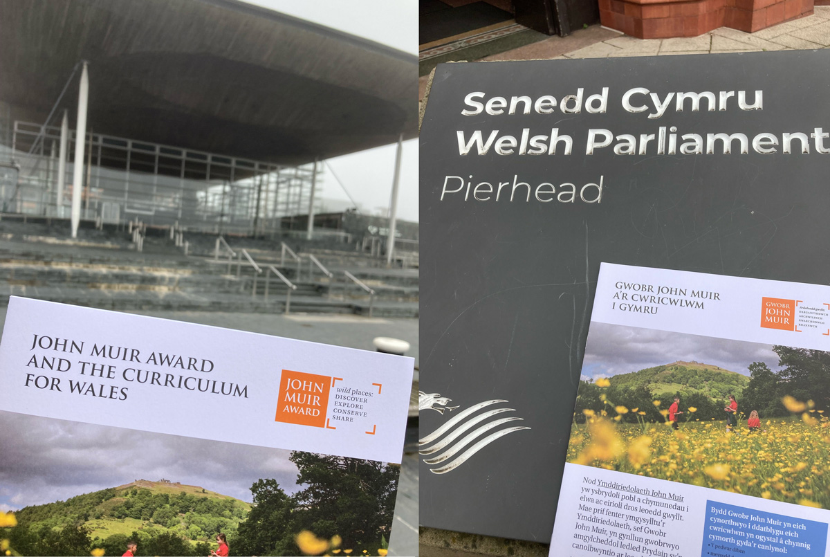 Wales curriculum at the Senedd