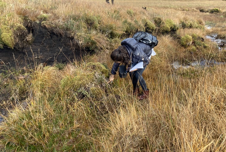 Land analysis at Nevis 02