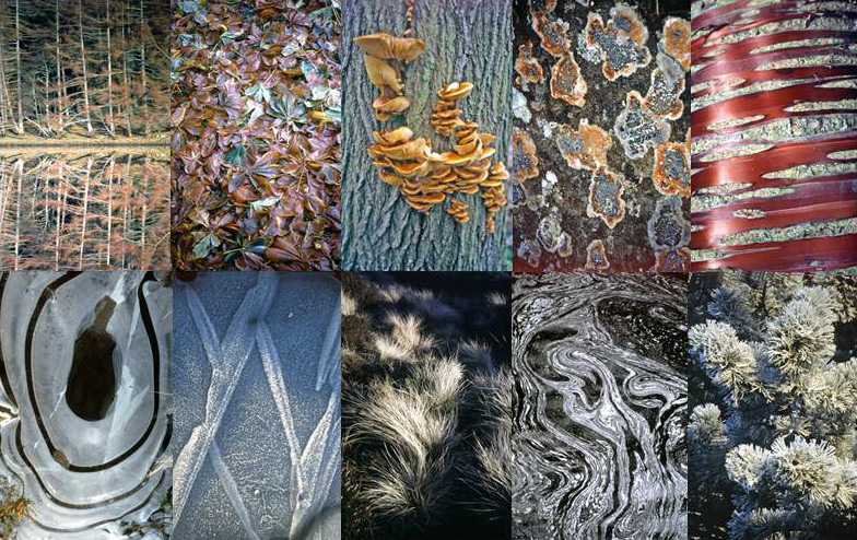 Hamish Brown - Abstracts
