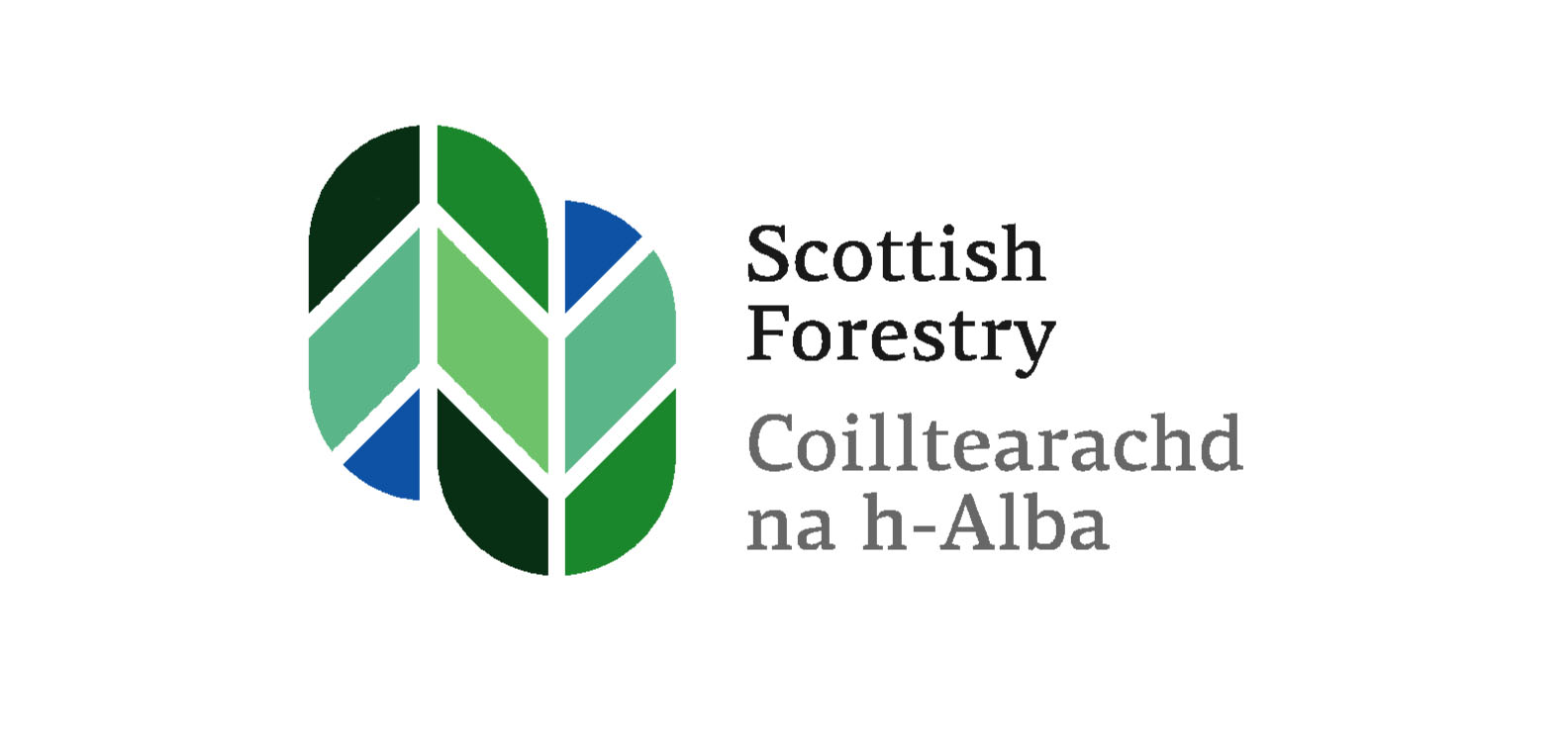 Scottish Forestery logo