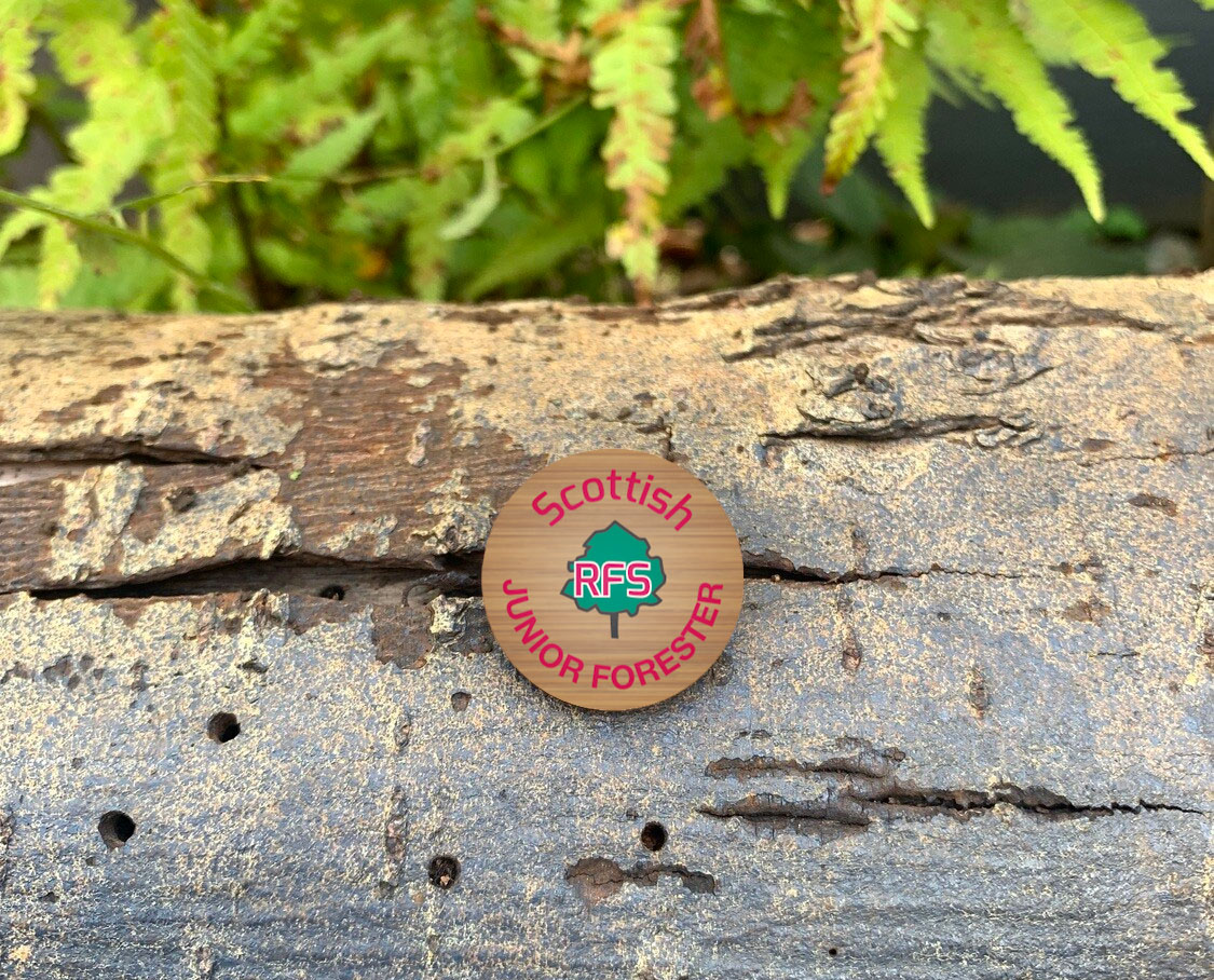 Scottish Forestry Junior Forester badge