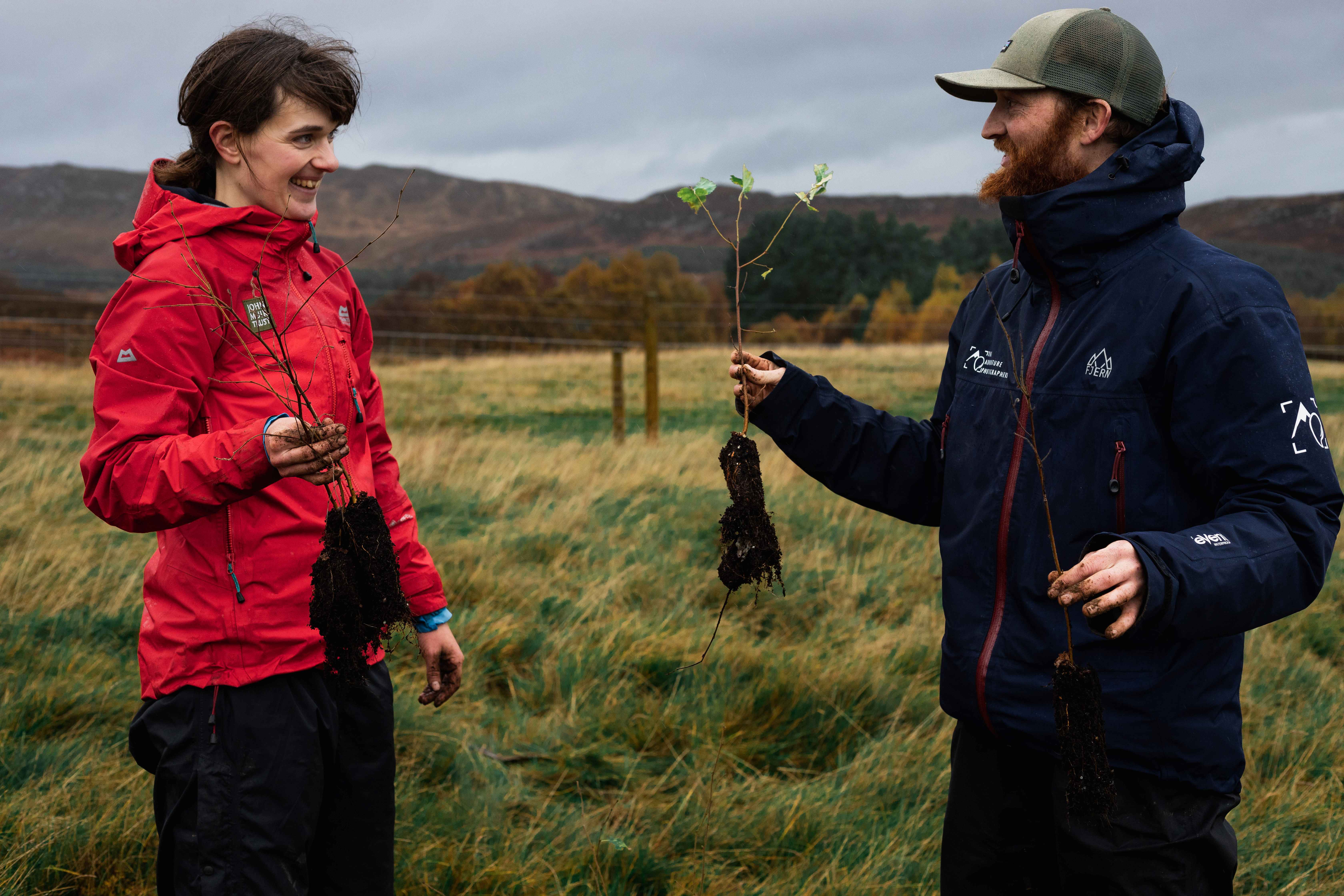 Conservation work at Schiehallion