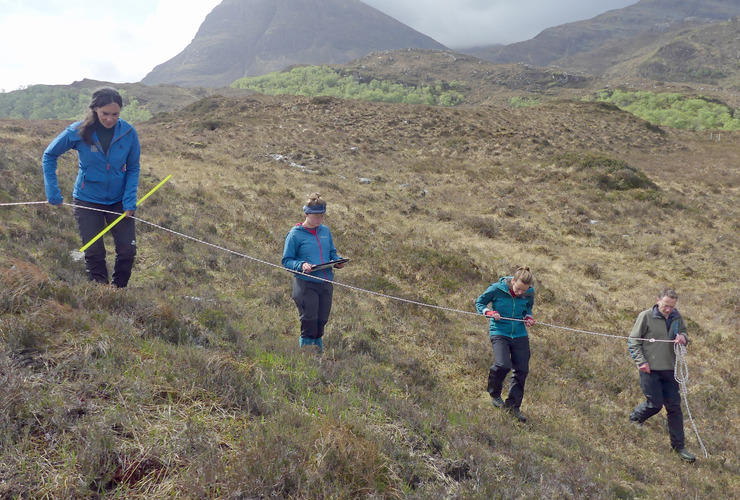 Measuring seedlings - Denis Mollison