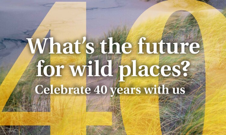 40th poster for Wild Space