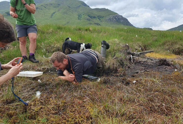 Peatland restoration survey at Nevis 3