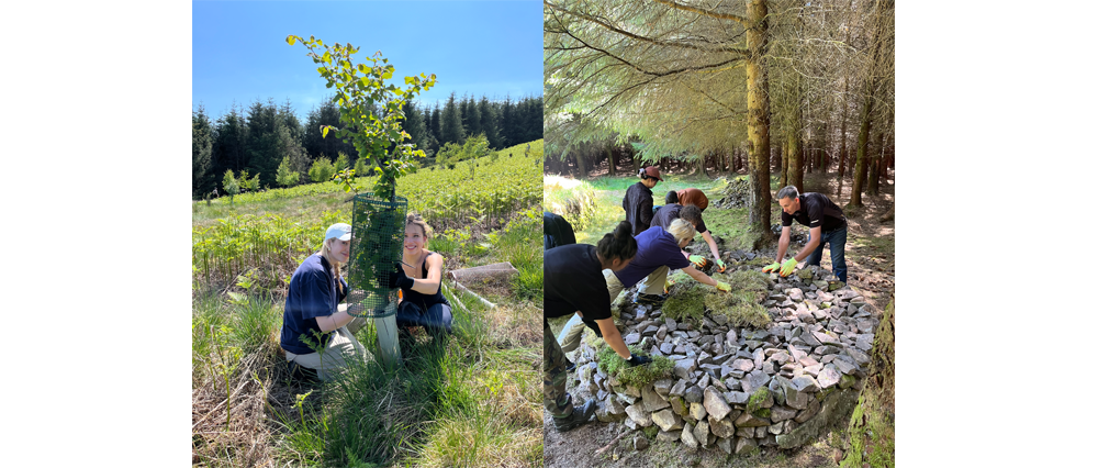 Glenlude - Waldorf School visit - group 2