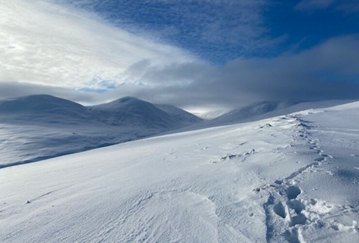 Taymouth Estate in snow