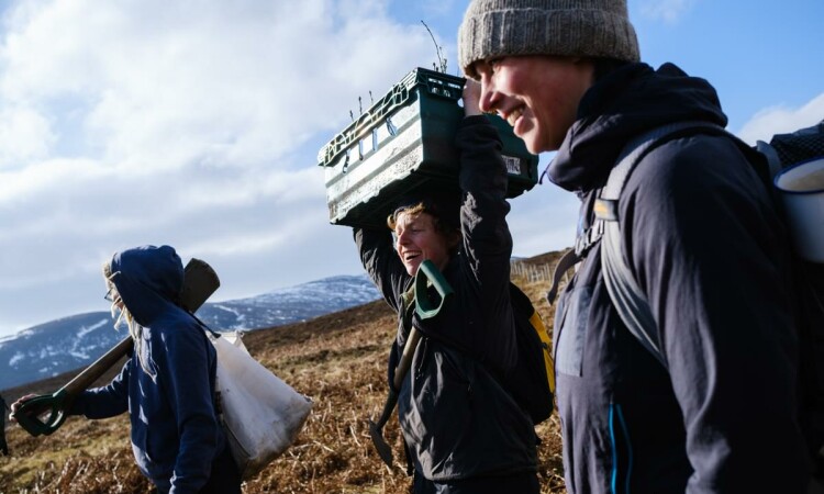 Planting on Schiehallion_James Robertson