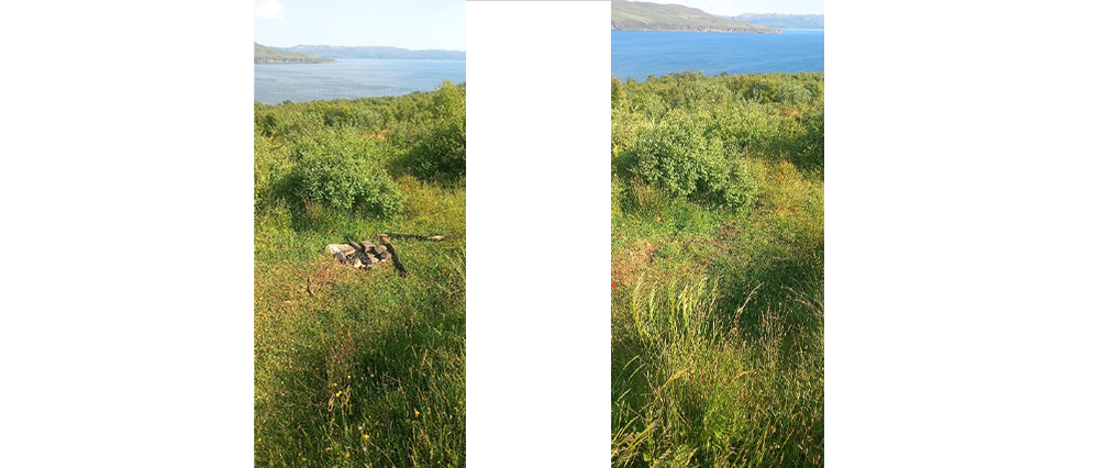 Skye - campfire before and after repair
