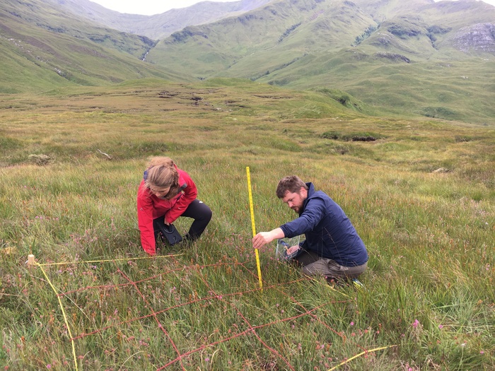 Nevis - monitoring peatland