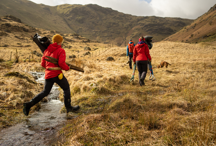 helvellyn - tree planting 1