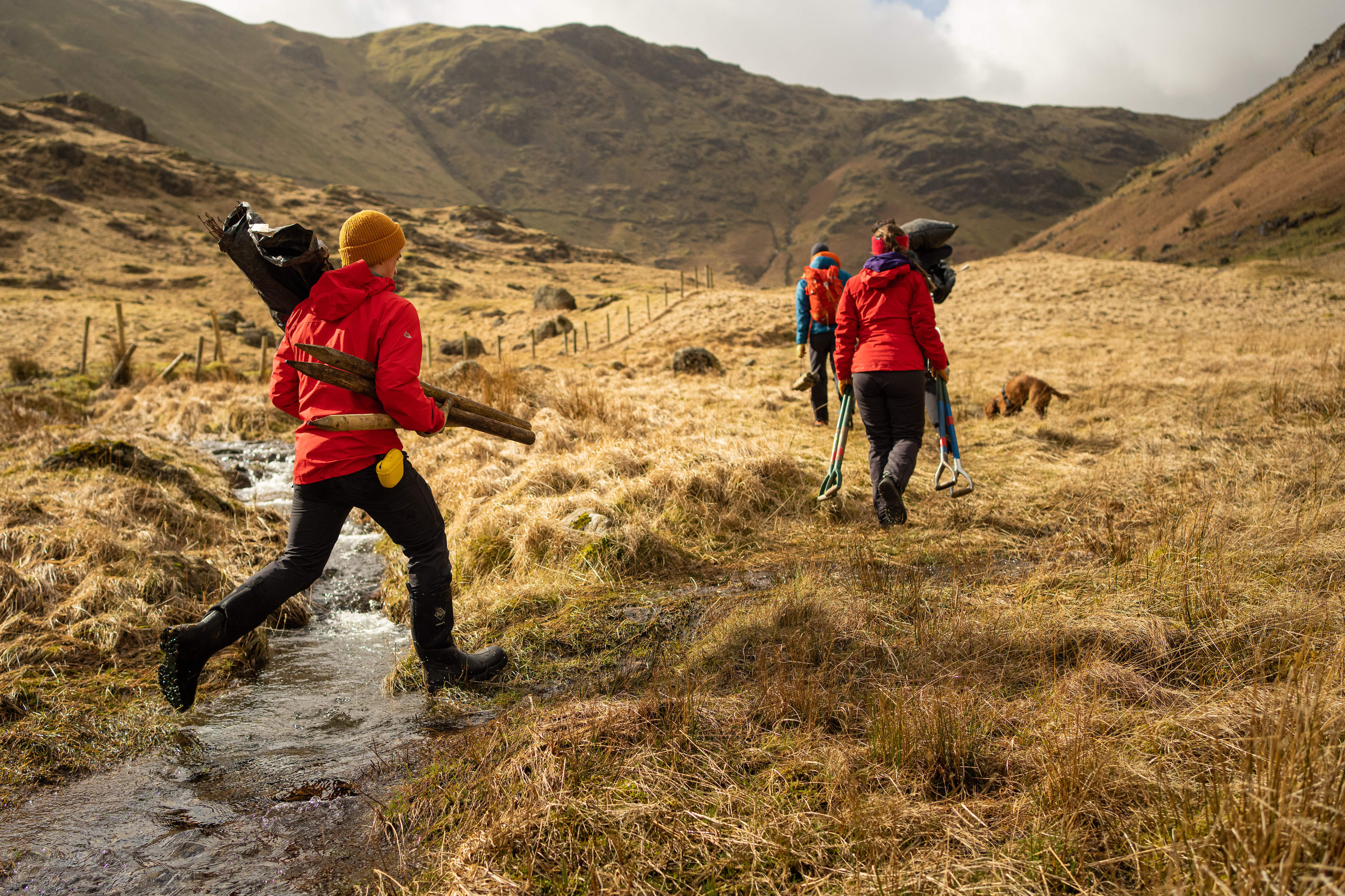 helvellyn - tree planting 1