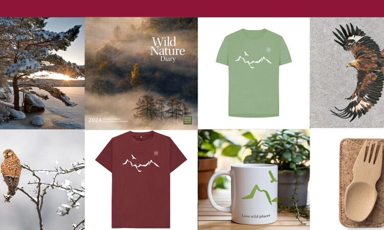 Shop festive banner 2023