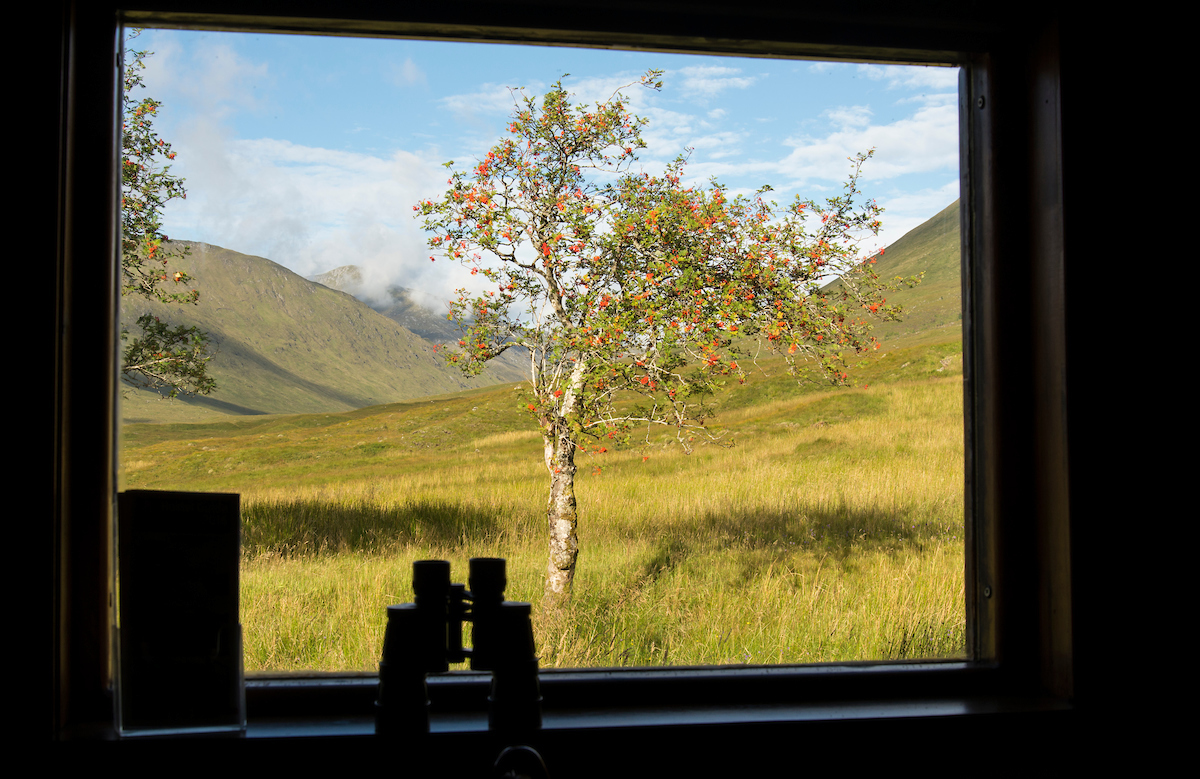 Glen Affric - scotlandbigpicture.com