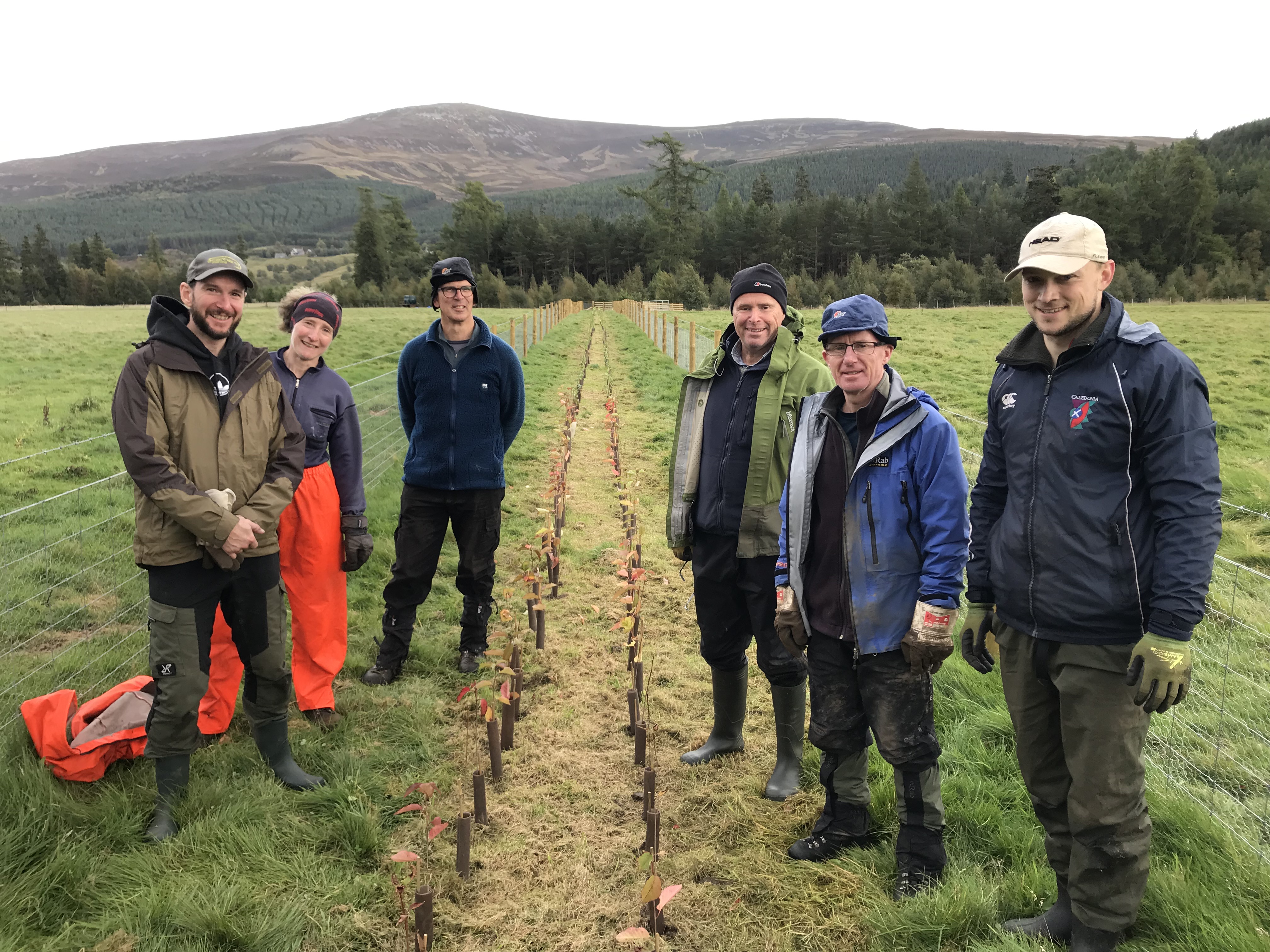 NE Scotland Local Members workparties 2023 - hedge planting team