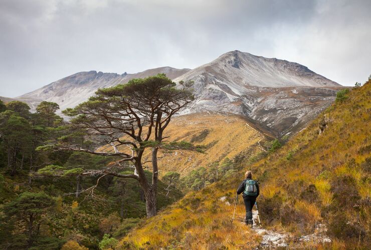 Beinn Eighe ridge, Torridon, Scotland