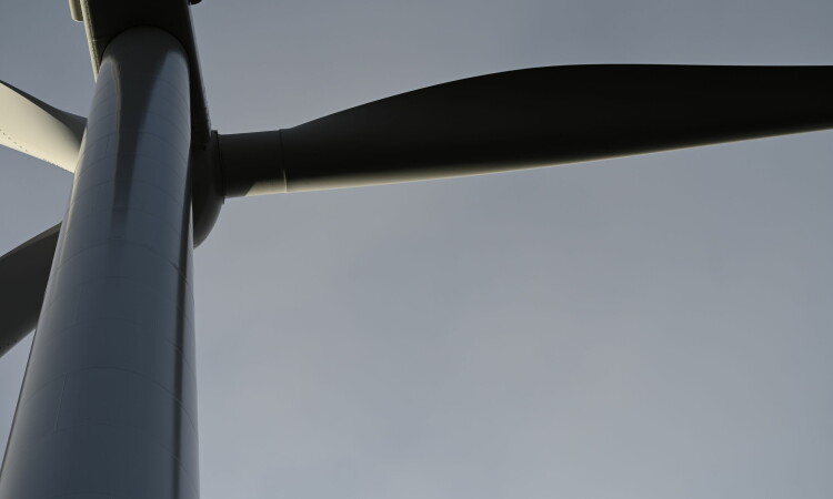 Windfarm