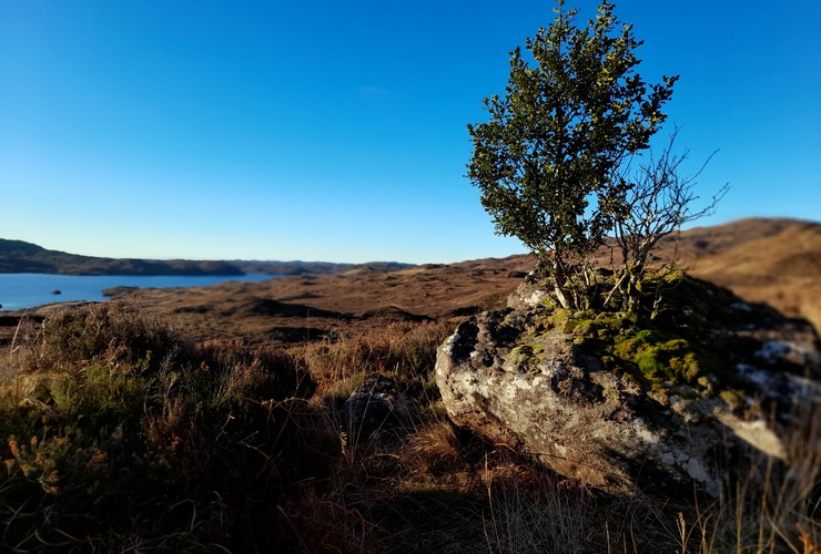 Quinag holly 1