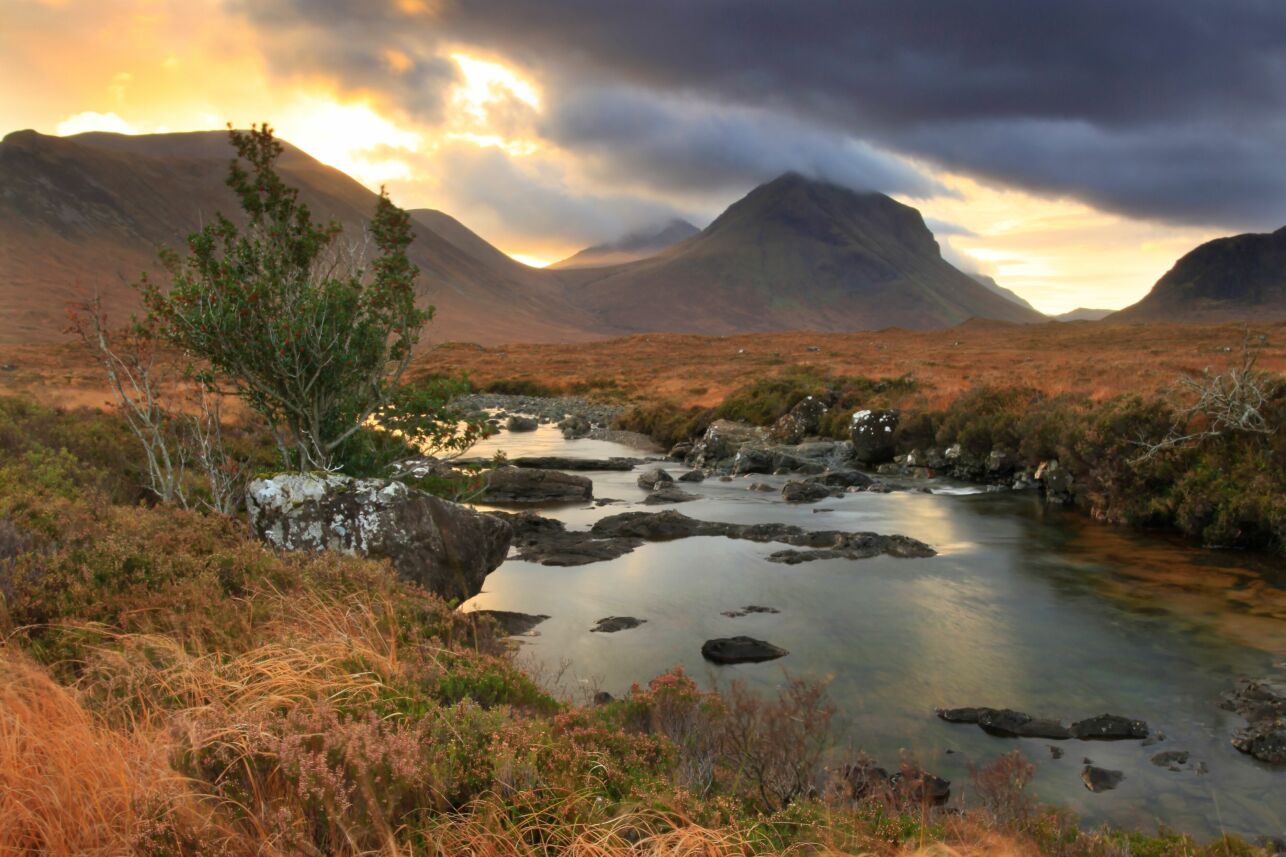 © Mark Hamblin / 2020Vision