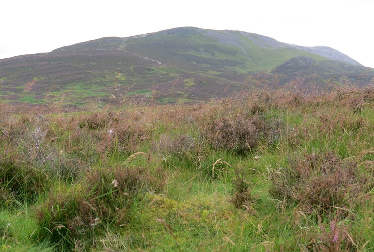 East Schiehallion - Jen Derr