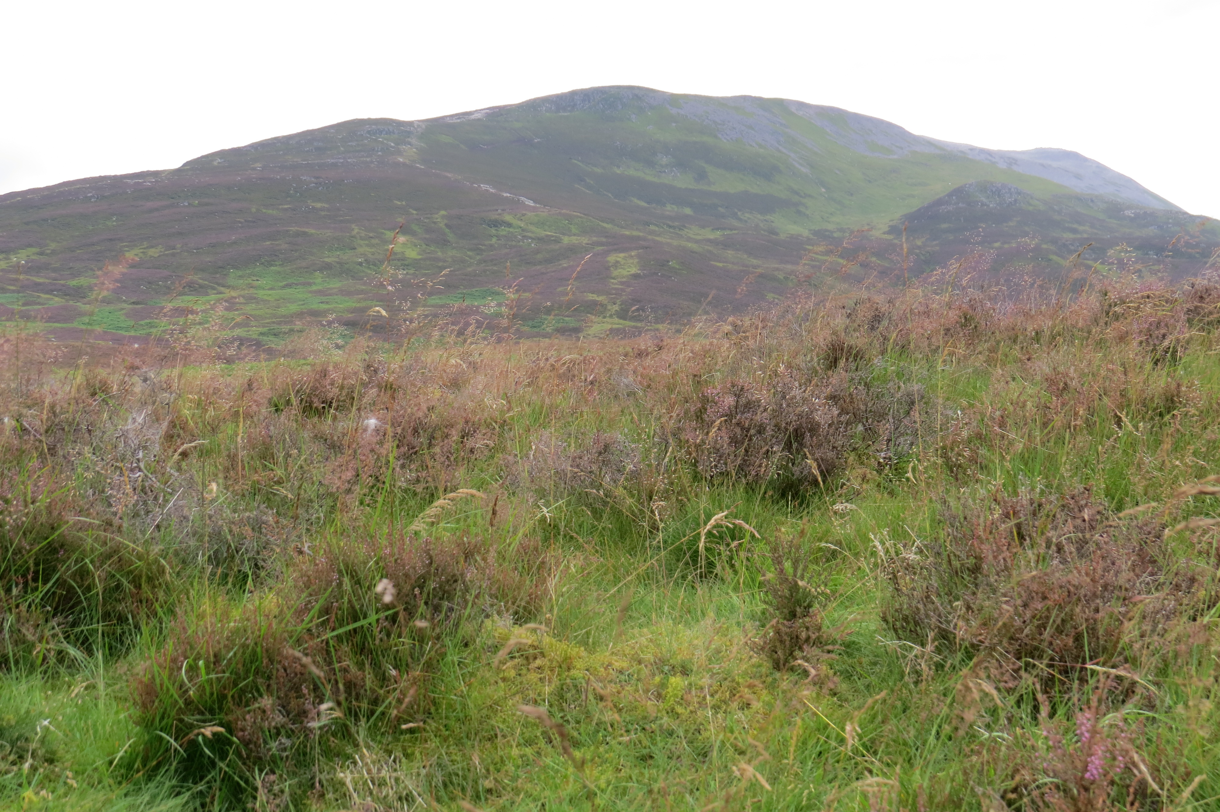 East Schiehallion - Jen Derr