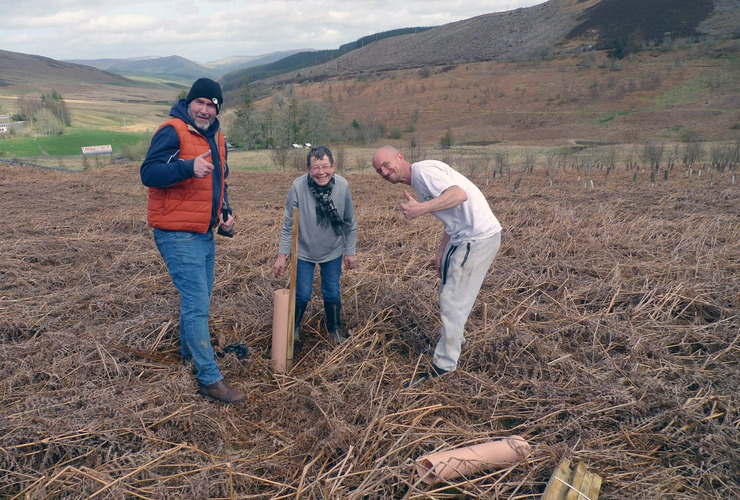 Phoenix Futures at Glenlude April 2024 - tree planting 2