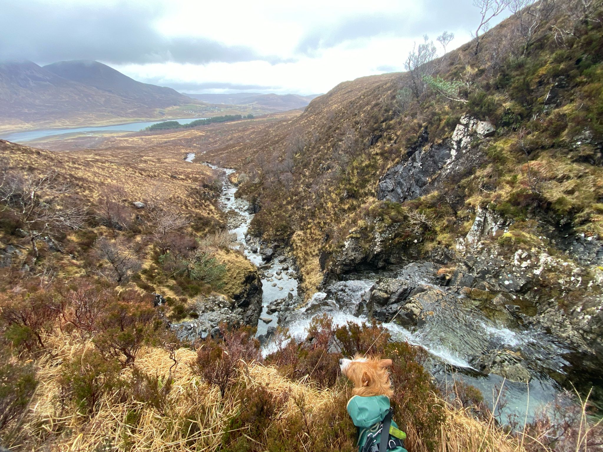 Skye, Bla Bheinn - Heather Graham
